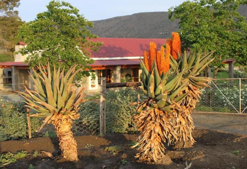 بنسيون Mountain View Country Guest House