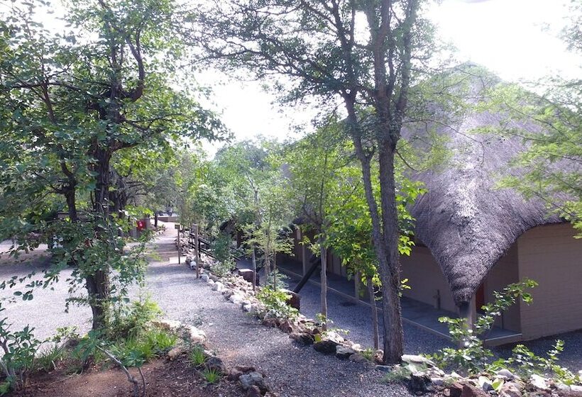 Hotel Balule Bushveld Safari Lodge