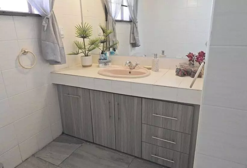 ホテル Balule Bushveld Safari Lodge