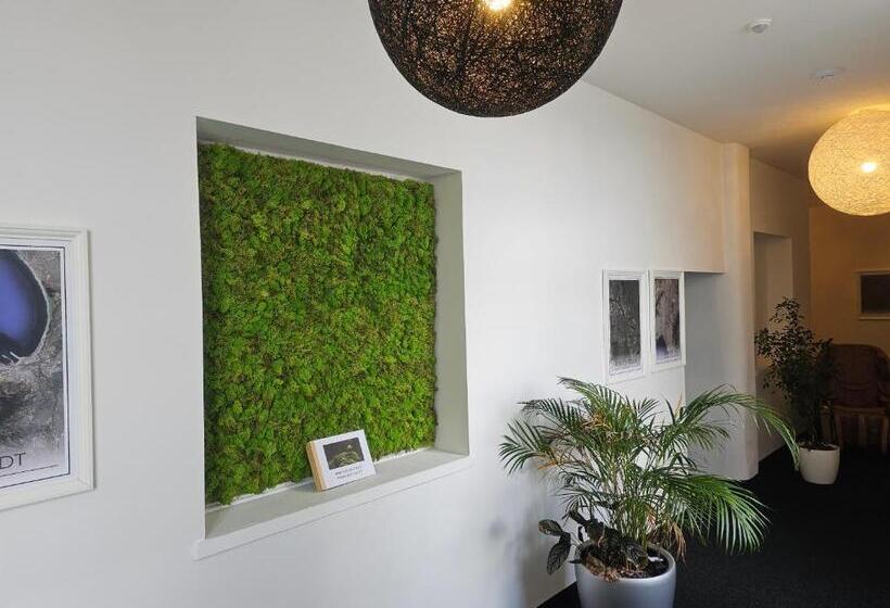 Отель Best Boarding House