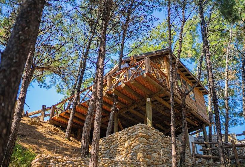 Отель Kairos Valley Health & Nature Resort