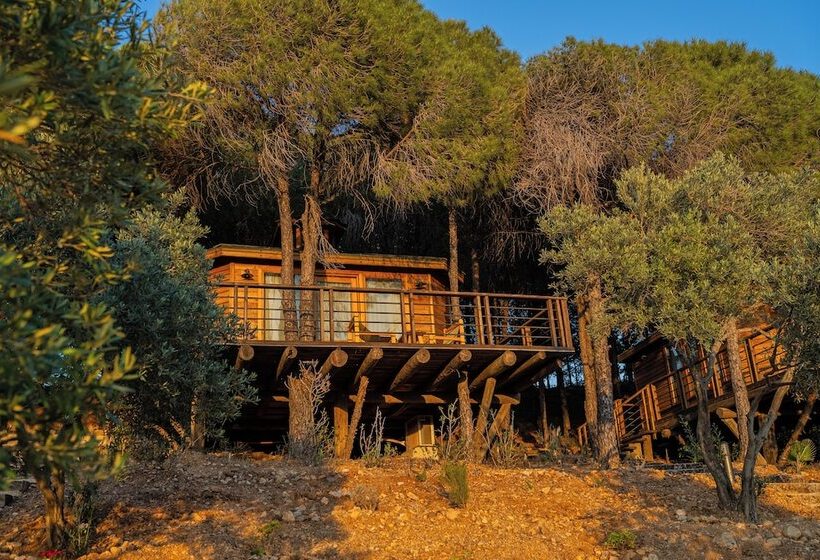 Отель Kairos Valley Health & Nature Resort