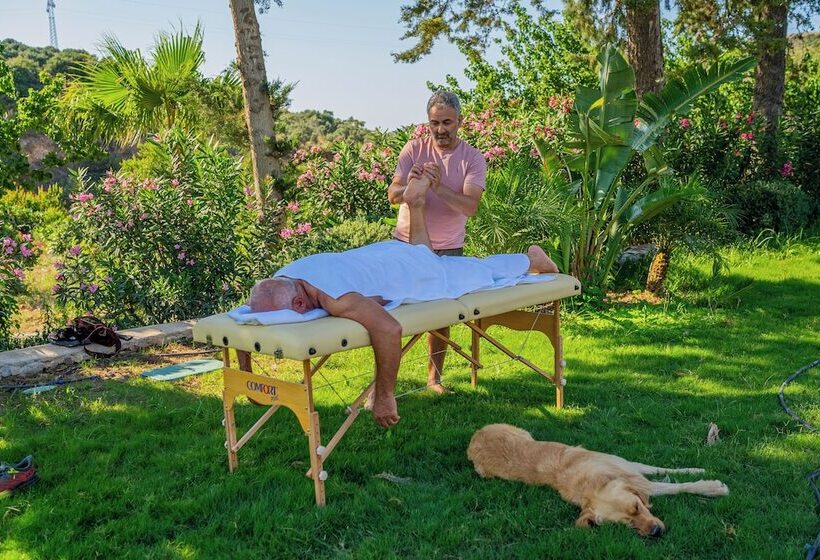 Отель Kairos Valley Health & Nature Resort