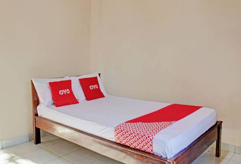 酒店 Amor Kost By Oyo