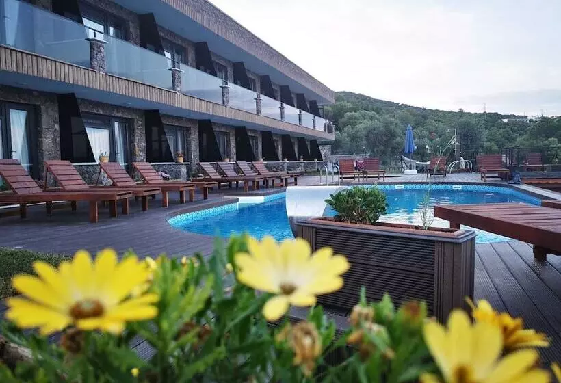 Hotelli Assos Derin Mavi