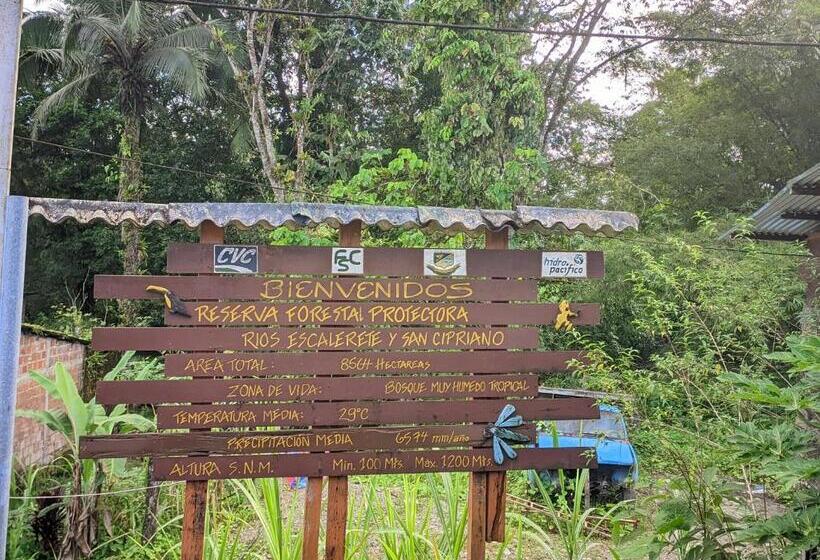 Szálloda Comodo Alojamiento En San Cipriano