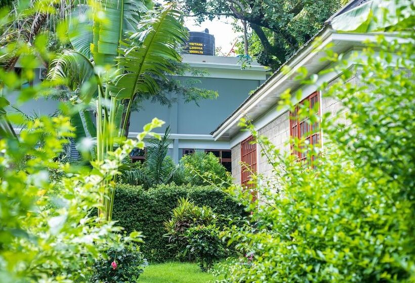 בית מלון כפרי Kerama Silent Lodge