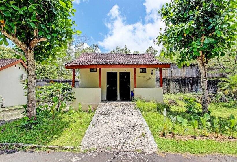 هتل Spot On 92257 Orchid Guest House