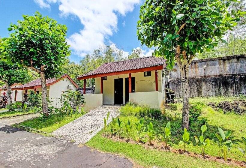 هتل Spot On 92257 Orchid Guest House