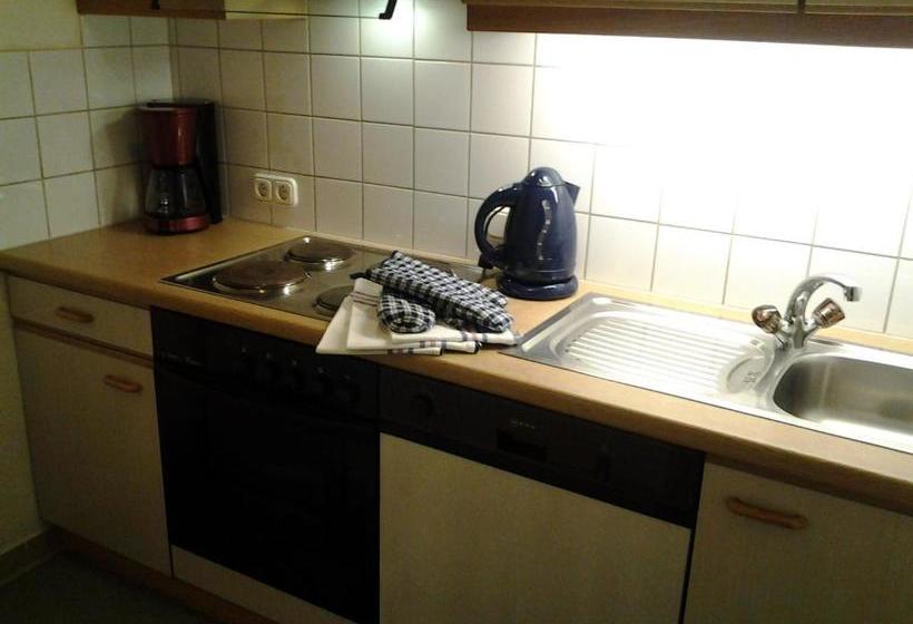 בית מלון כפרי Appartment Alpenhäusl