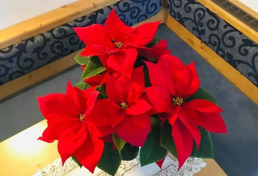 هتل Appartment Alpenhäusl