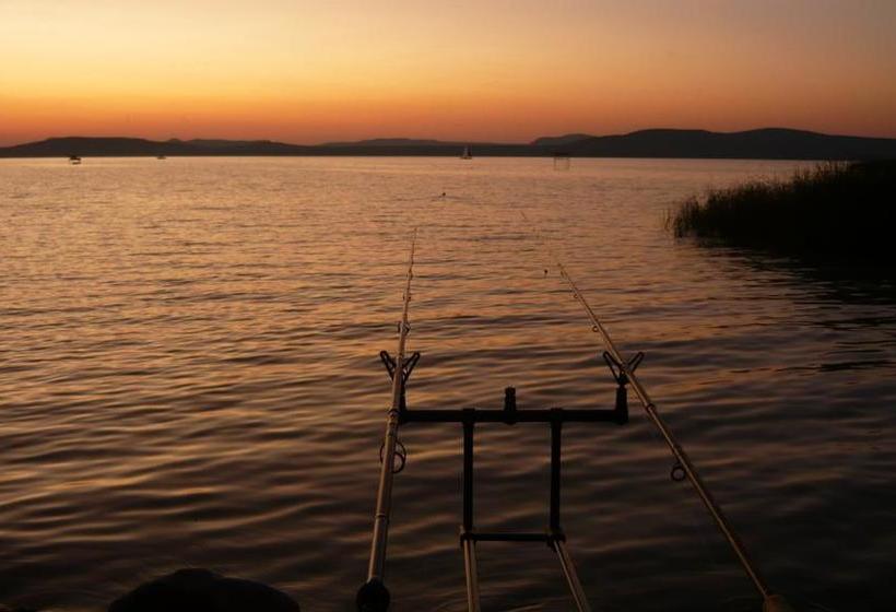 Отель Aranyhíd