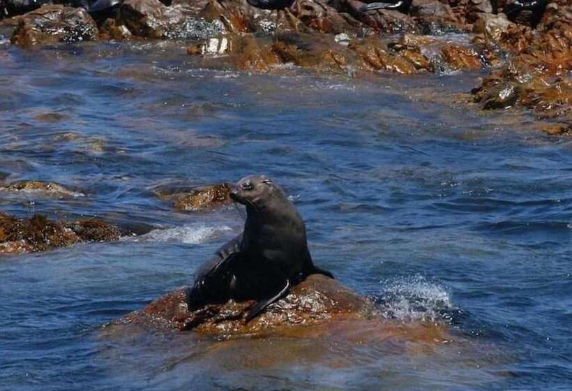 酒店 Crayfish Lodge Sea & Country Guest House