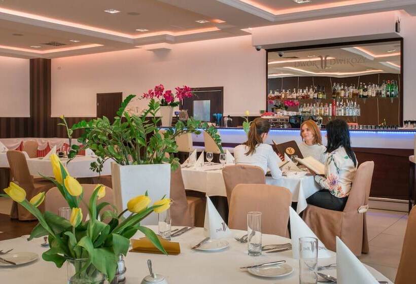 בית מלון כפרי Dwór Dwikozy