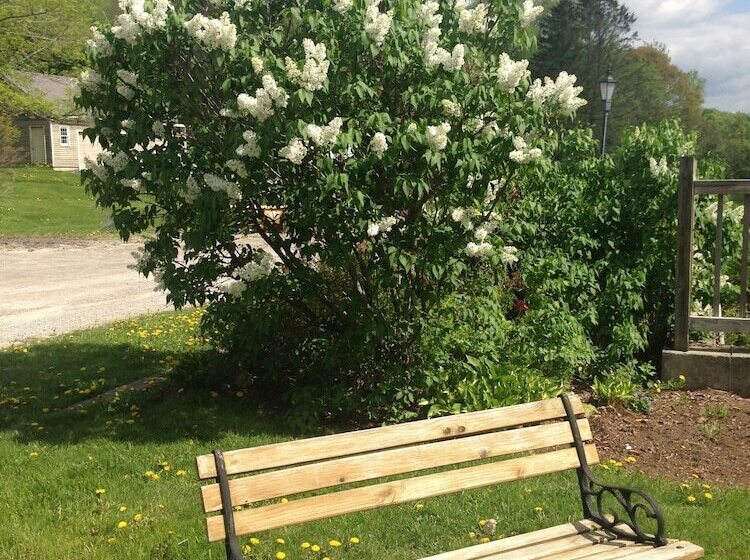 ホテル The Inn At Willow Pond