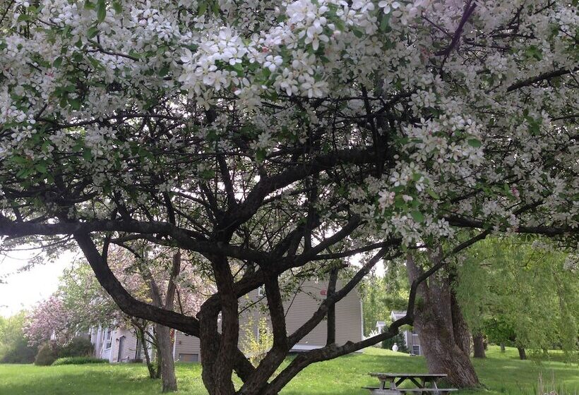 ホテル The Inn At Willow Pond