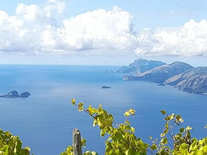 Bed and Breakfast Vecchio West