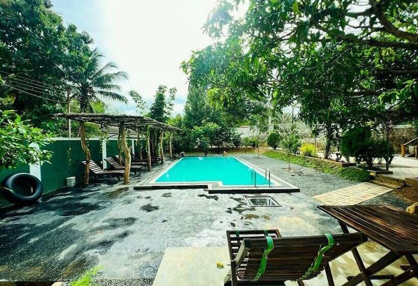 Szálloda Lily Resort Udawalawe