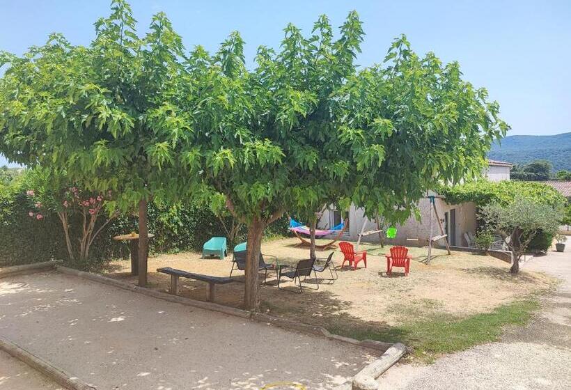 La Cour Des Miracles