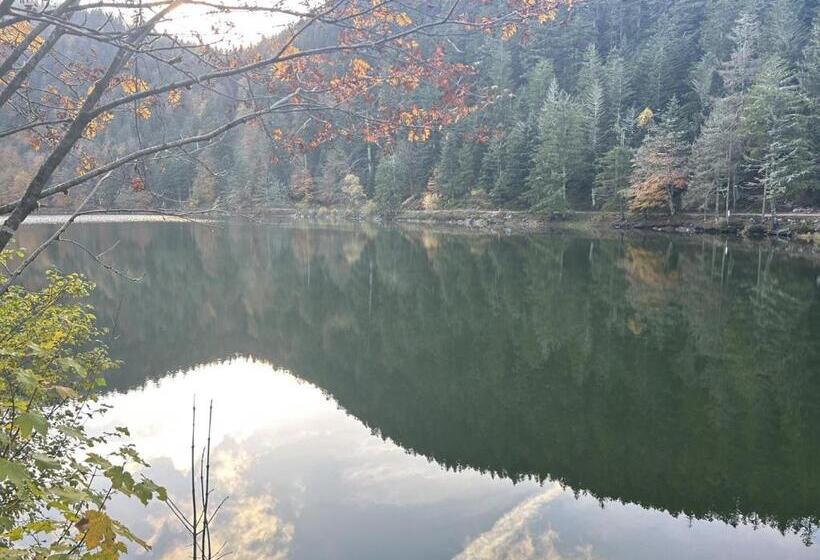 مبيت وإفطار Escargot De Neige