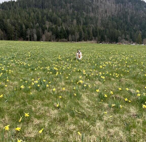 مبيت وإفطار Escargot De Neige