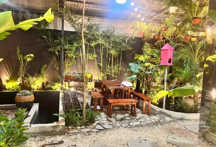 تختخواب و صبحانه Kim đồng Homestay