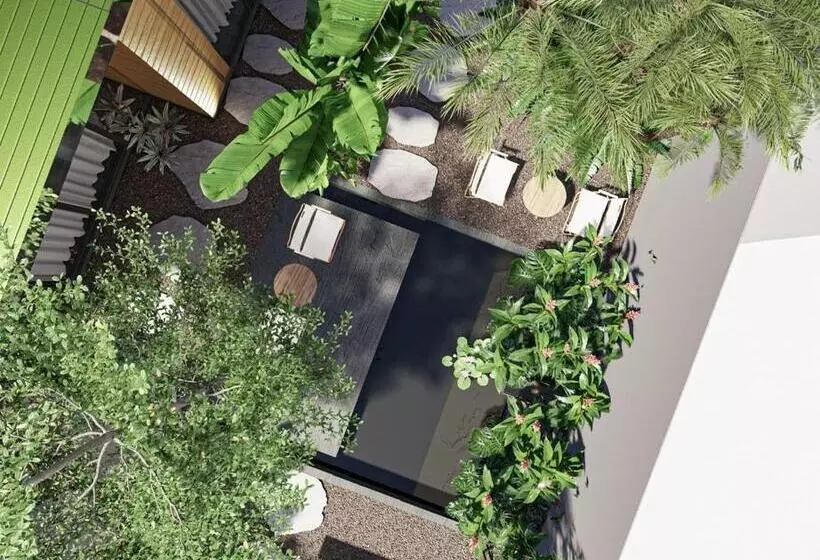 تختخواب و صبحانه Kim đồng Homestay