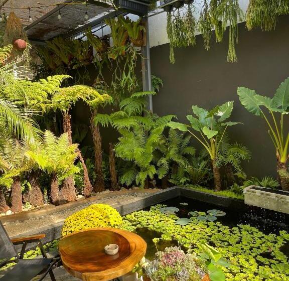 تختخواب و صبحانه Kim đồng Homestay