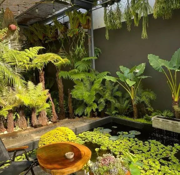 تختخواب و صبحانه Kim đồng Homestay