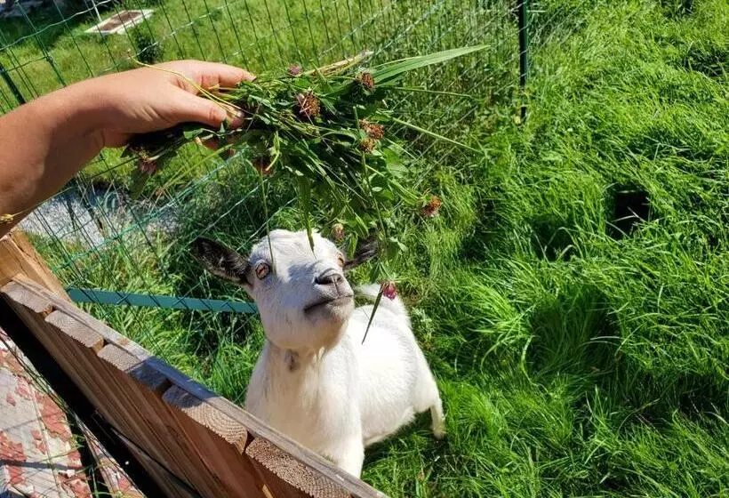 Aamiaismajoitus (B&B) My Zen Thal