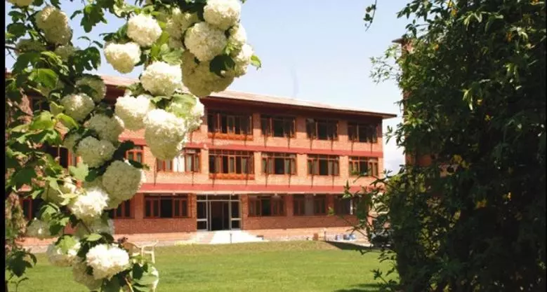 ホテル Palace Inn Shrinagar