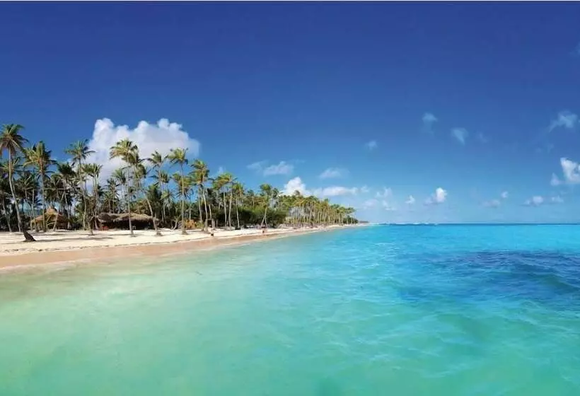 Maple Beach By Dr Collection