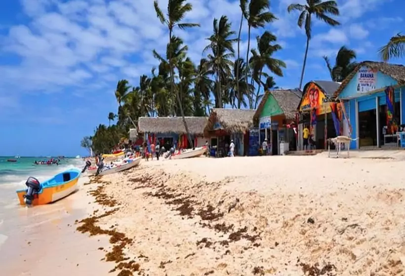 Maple Beach By Dr Collection