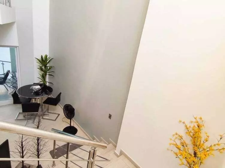 Maple Beach By Dr Collection