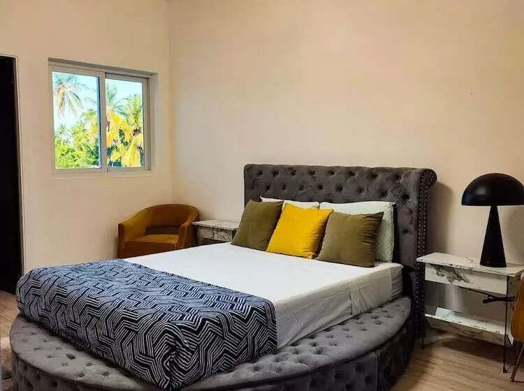 Maple Beach By Dr Collection