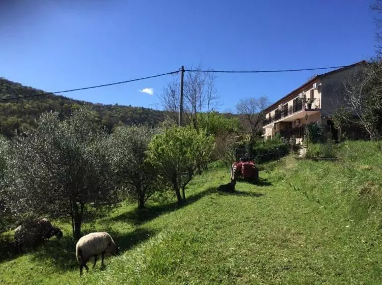 پانسیون Salara House