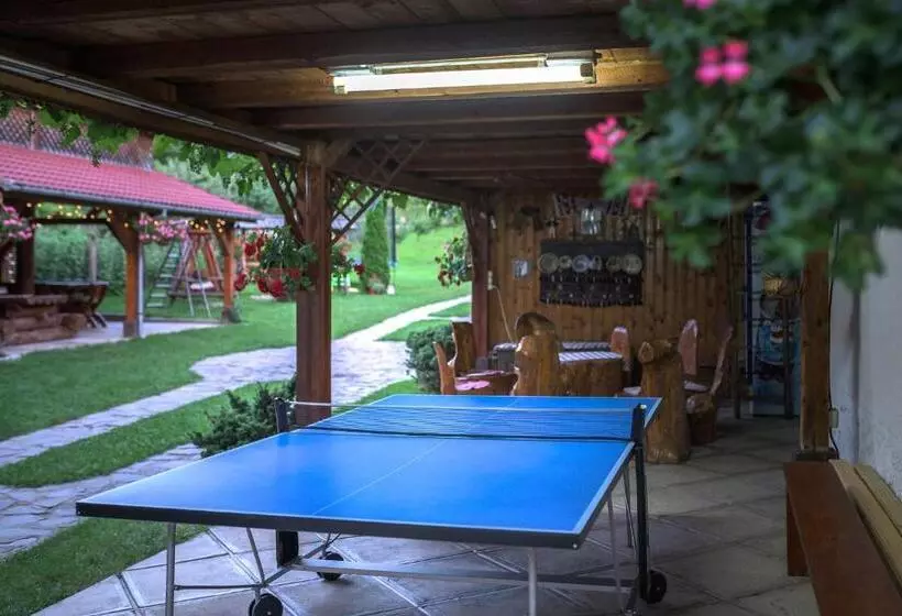 Pensiunea Casa Loloiu