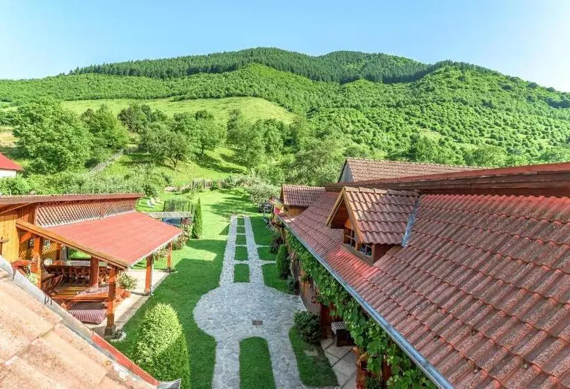 Pensiunea Casa Loloiu