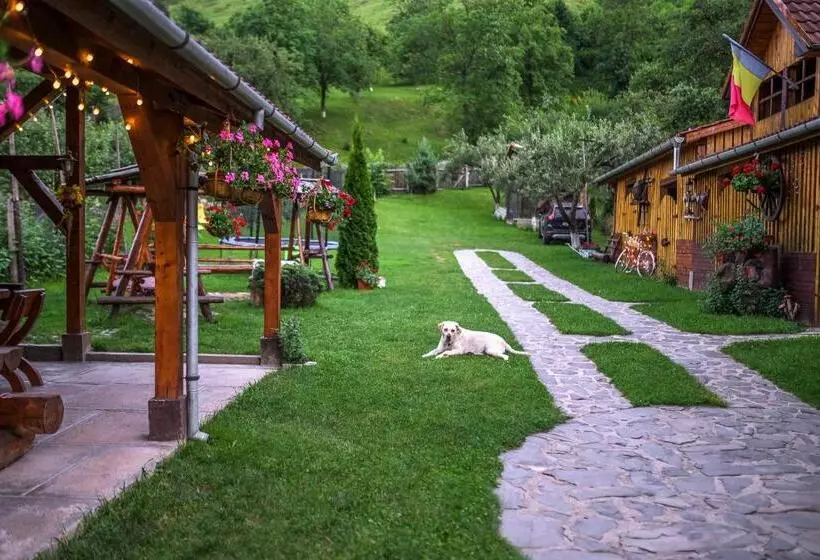 Pensiunea Casa Loloiu