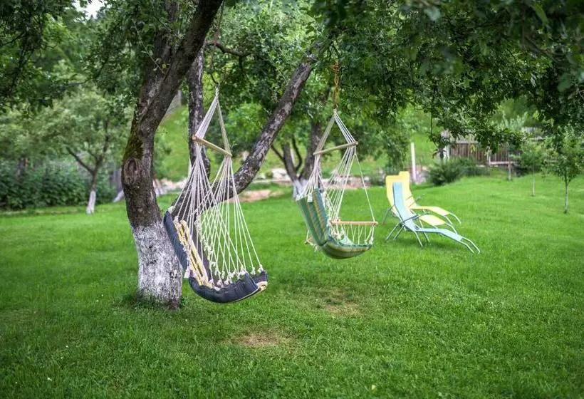 Pensiunea Casa Loloiu