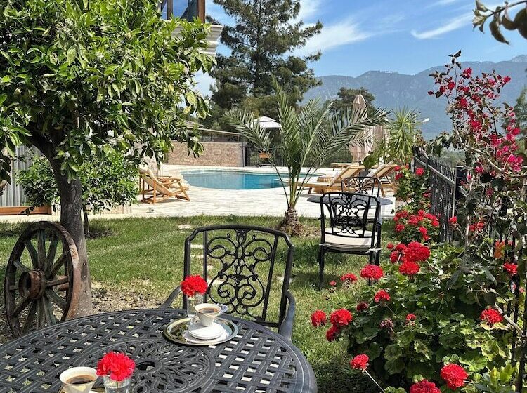 هتل Tas Ev Adrasan