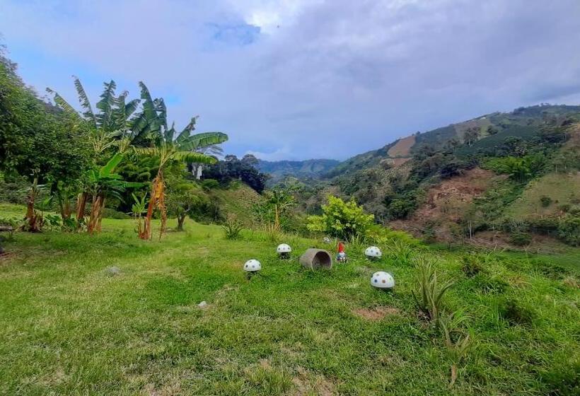 Azahares Hotel Y Café