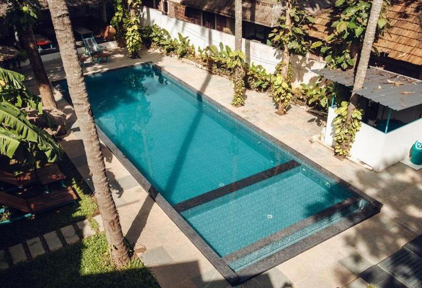 مبيت وإفطار Paddlecult Surf Retreat