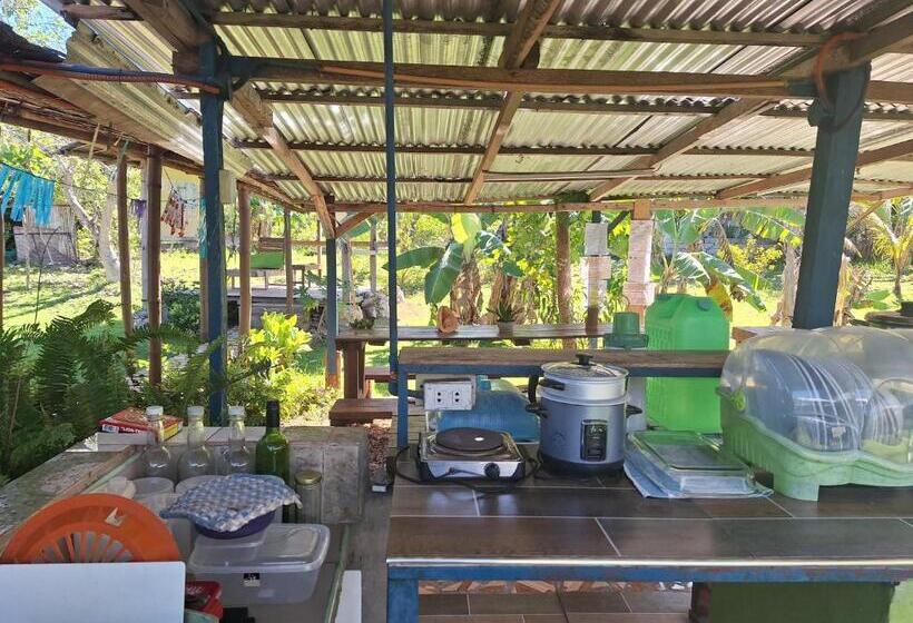 ユースホステル Genevieve Guest House