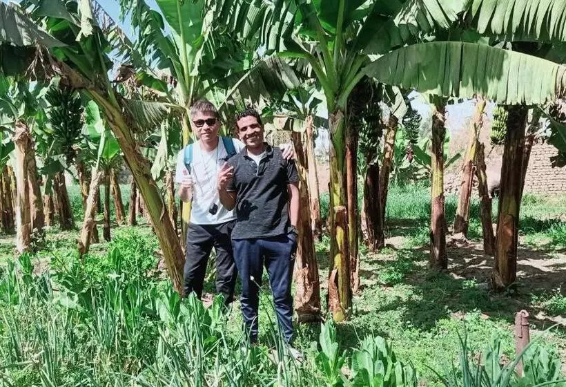 پانسیون Dream Garden Luxor