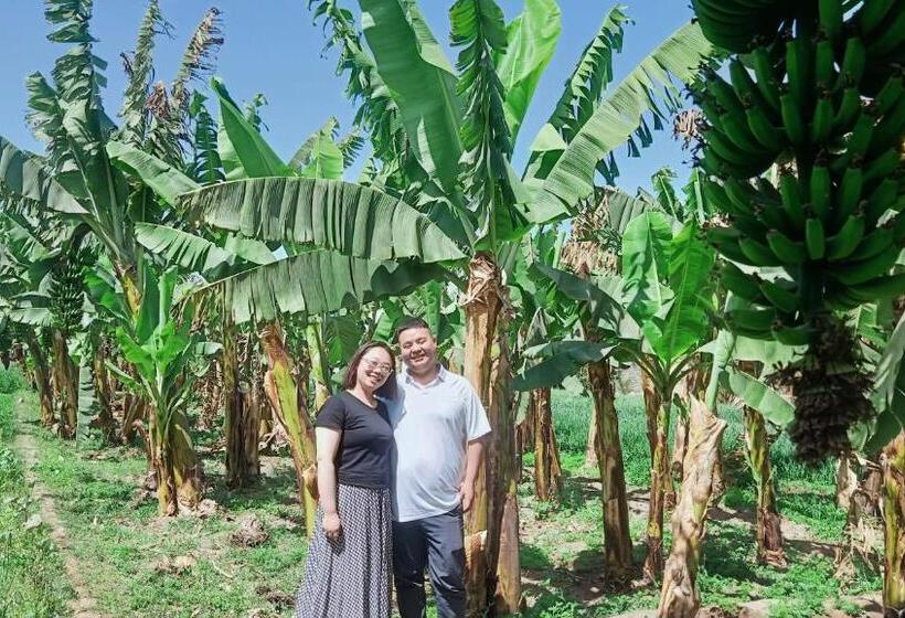 پانسیون Dream Garden Luxor