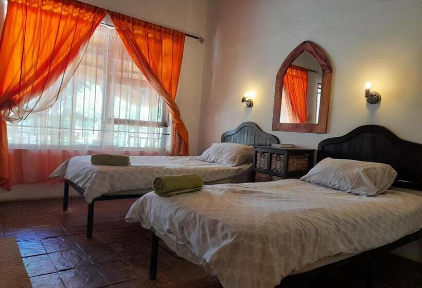 پانسیون Lion S Den Guesthouse Otjiwarongo