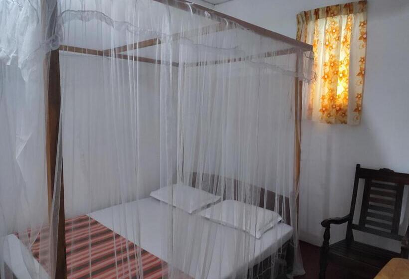 Pensió Summer House   Beach Vibes