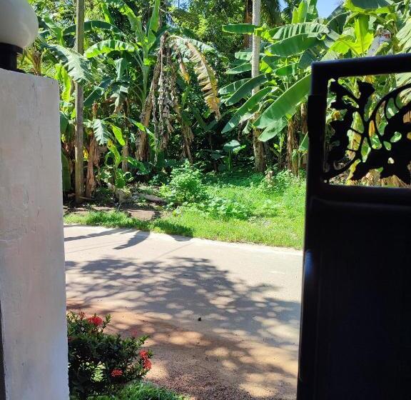 Pensió Summer House   Beach Vibes