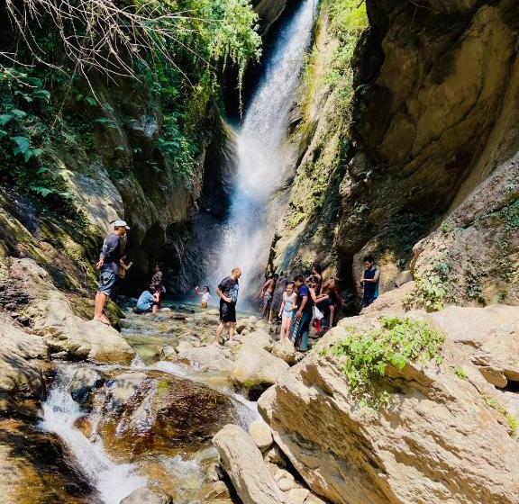 Resort Tree Bones Camp